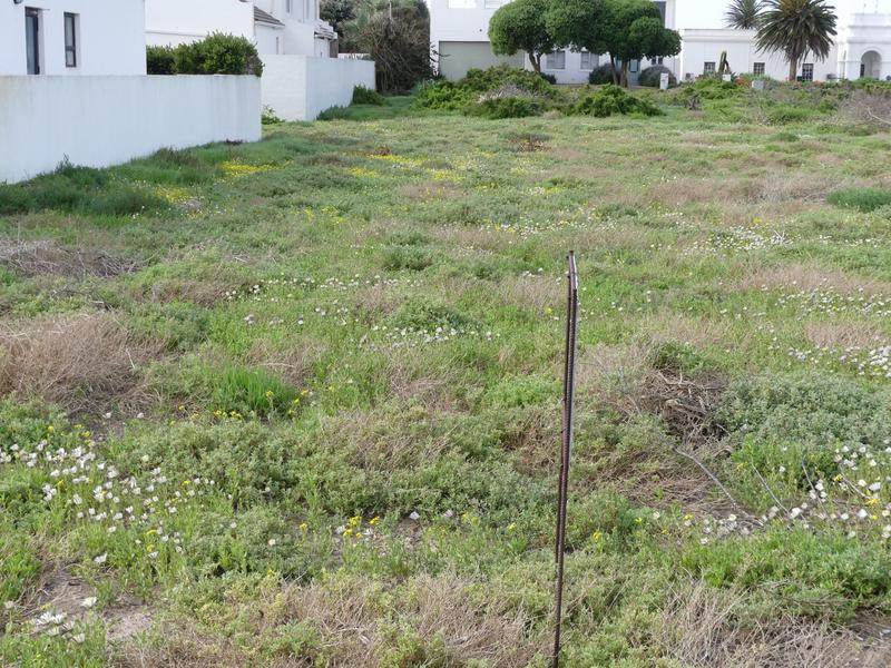 0 Bedroom Property for Sale in Golden Mile Western Cape